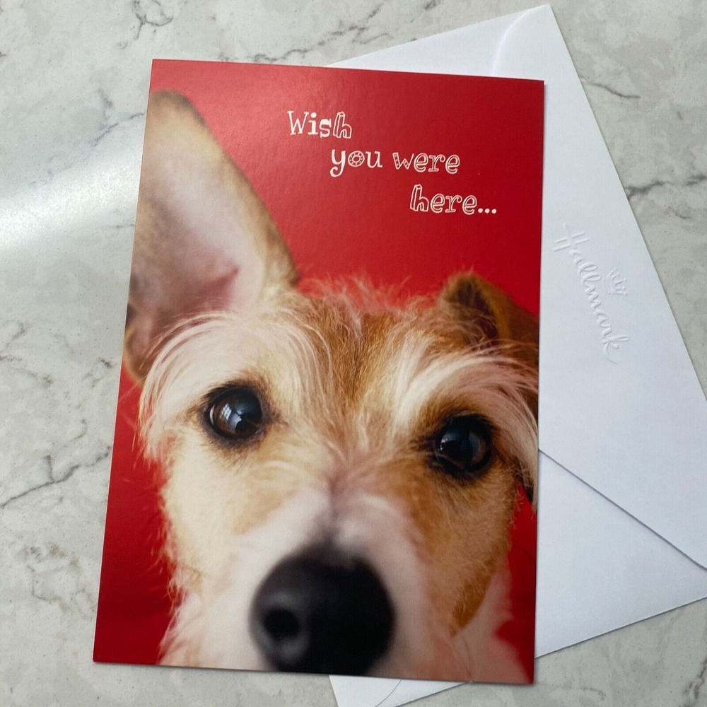 Hallmark Wish You Were Here Dog Heartfelt & Thoughtful Greeting Card w/ Envelope